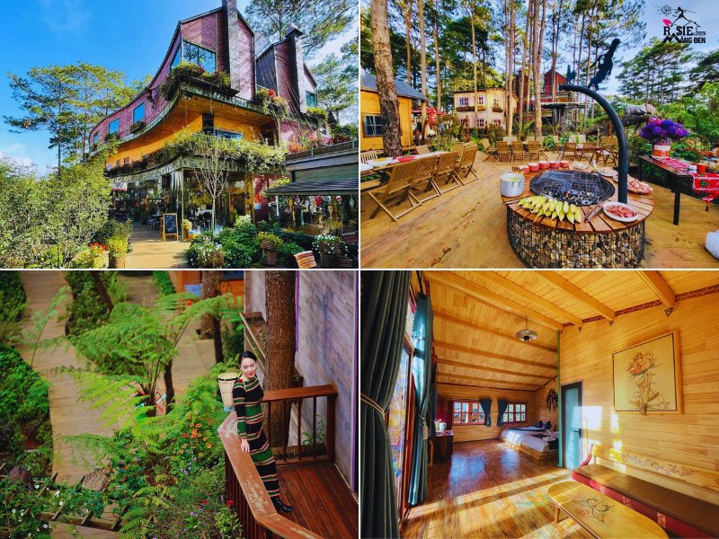 Rosie Garden Măng Đen: Vườn hoa hồng lãng mạn giữa cao nguyên