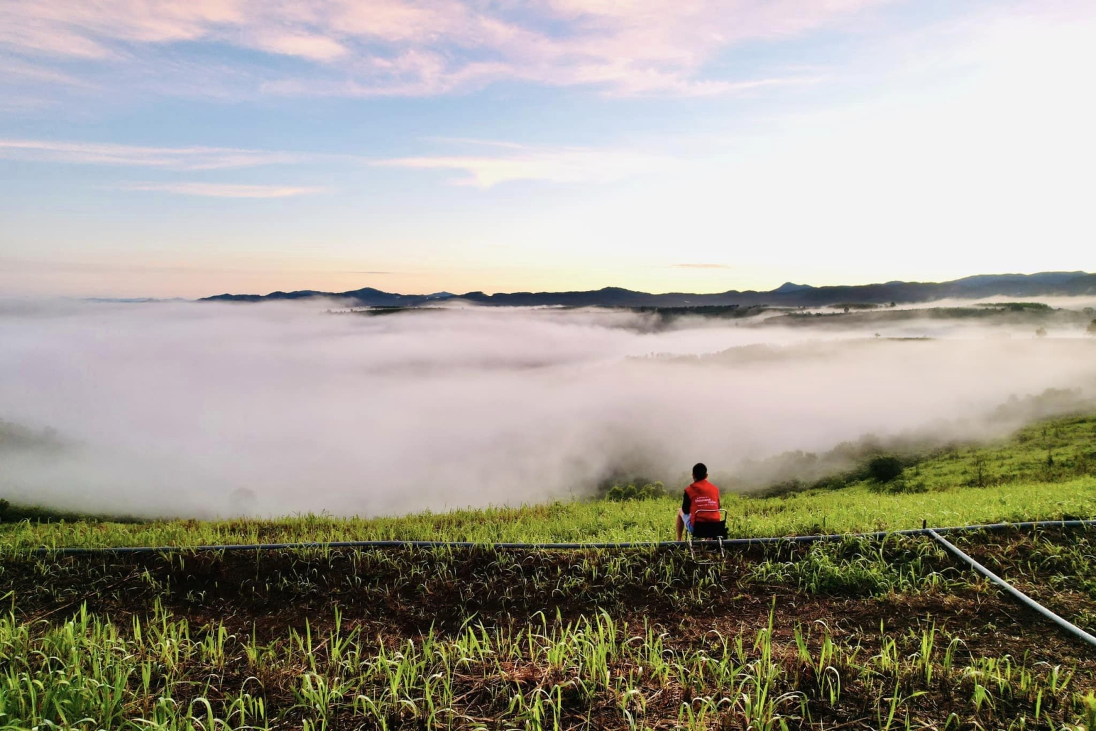 Bí quyết săn mây Gia Lai: Tháng mấy là thời điểm vàng ngắm cảnh?