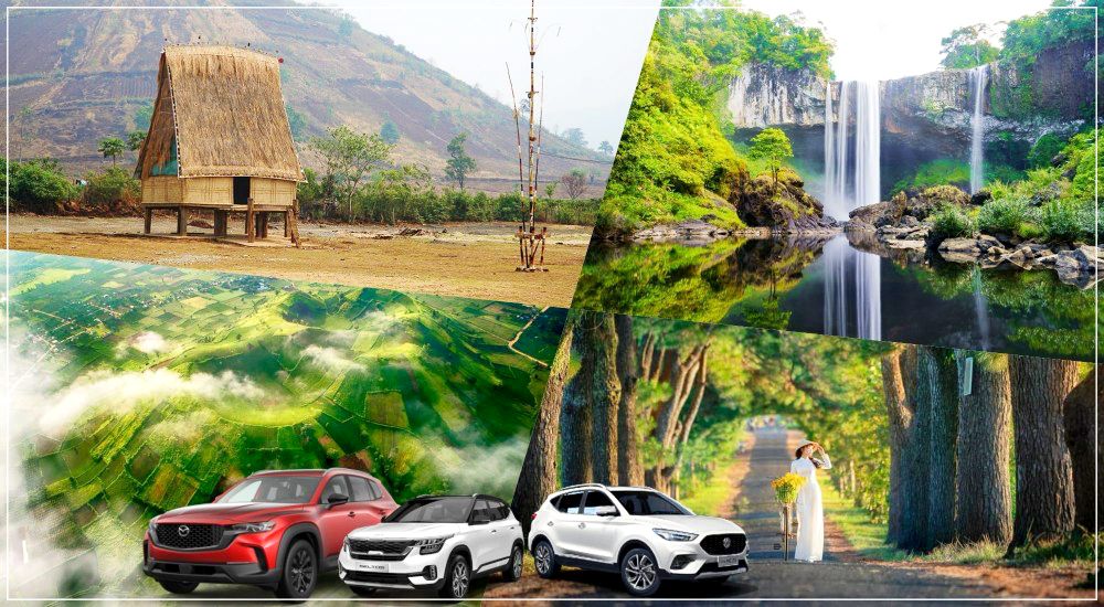 Thuê xe Pleiku giá rẻ, uy tín, có tài xế hoặc tự lái tiện lợi