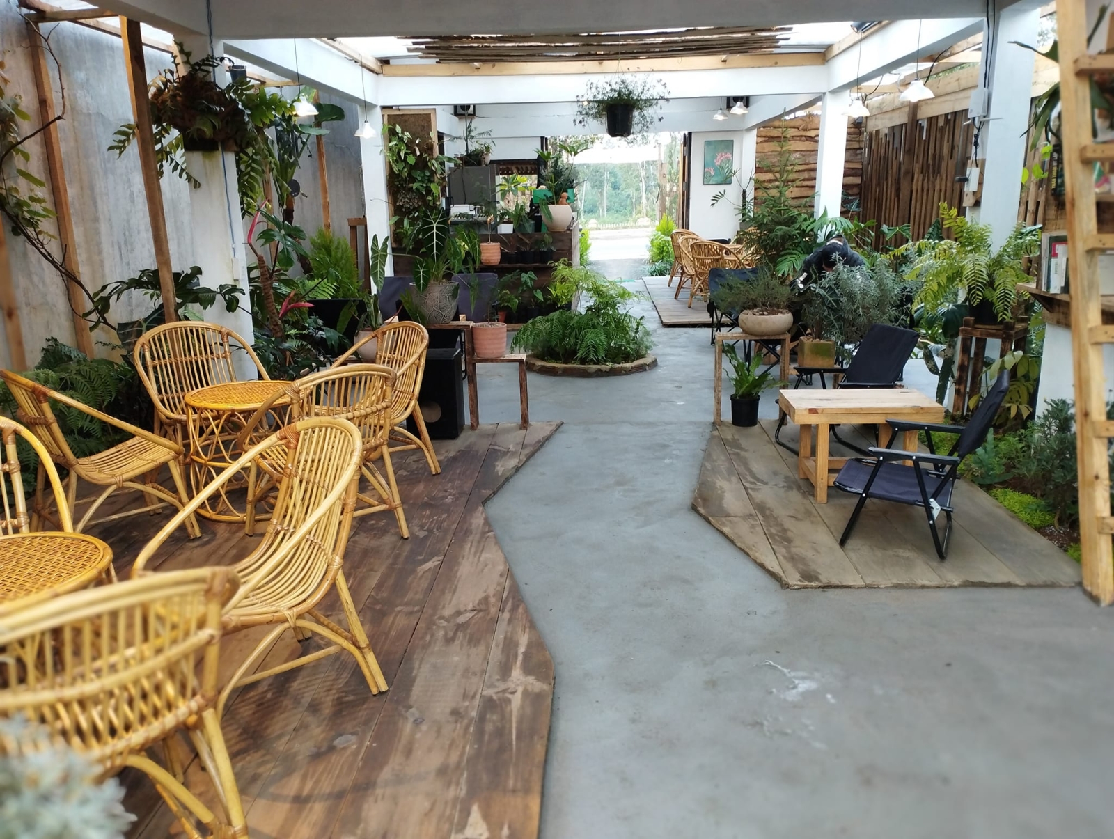 Trải Nghiệm Săn Mây Độc Đáo Ở Cafe Măng Đen Tuyệt Đẹp Nhất