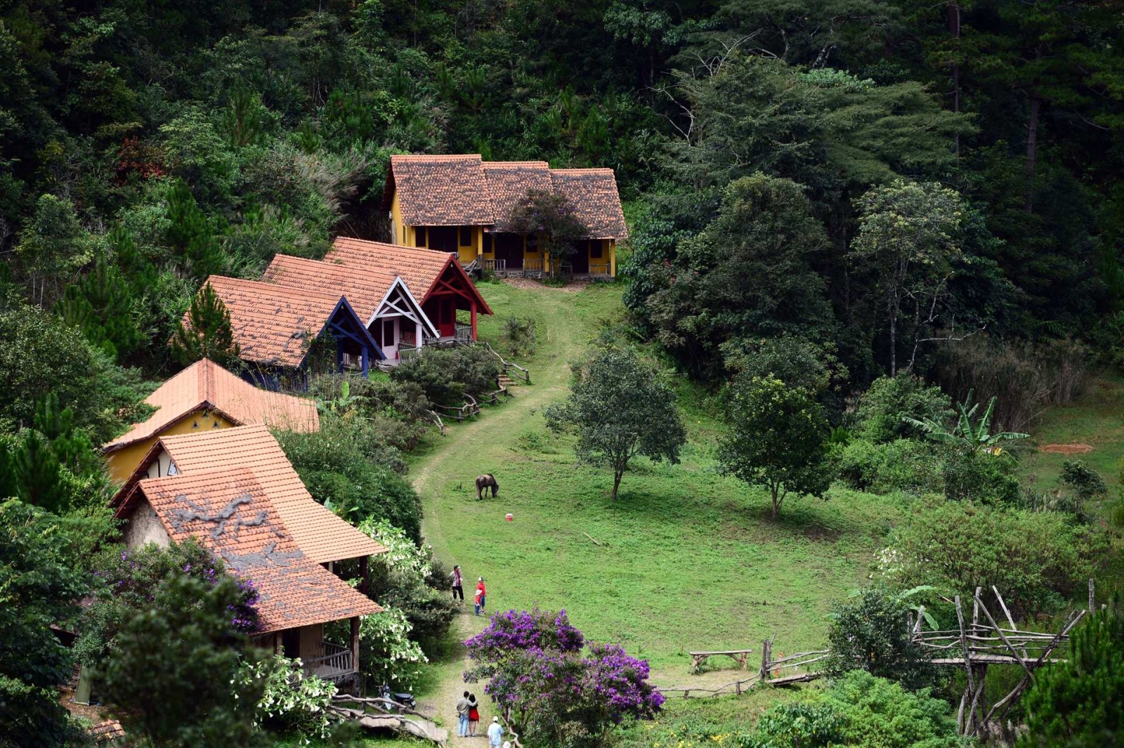 Khám phá Văn hóa & Trải nghiệm Du lịch Làng bản Kon Tum độc đáo