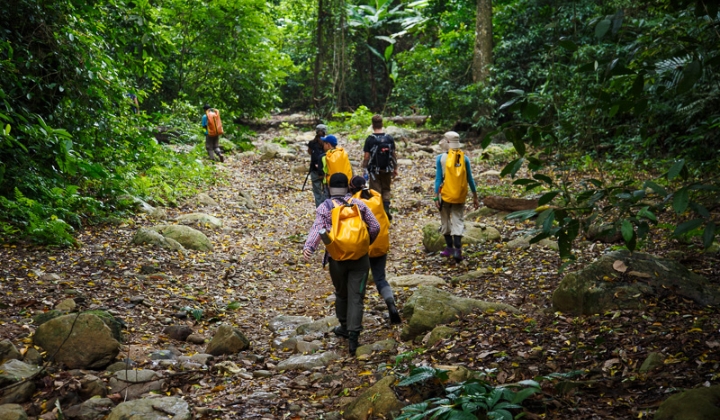 Chuyến Phiêu Lưu Trekking Vườn Quốc gia Kon Ka Kinh Hùng Vĩ